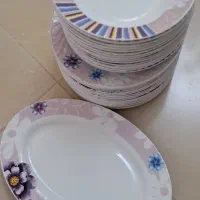 ظروف چینی