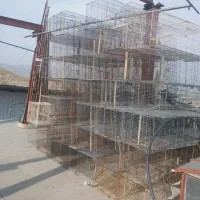 قفس پرنده