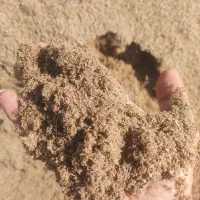 باگاس نیشکر ،کاه نیشکر،ملاس|عمده‌فروشی|هشتگرد, هشتگرد قدیم|دیوار