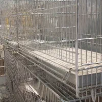 قفس هشت خان|لوازم جانبی حیوانات|کاشمر, |دیوار