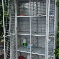 قفس کفتر مرغ پرنده