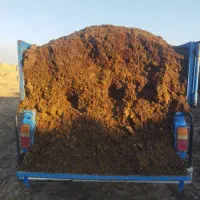 پخش انواع کود حیوانی پوسیده و خاک باغچه