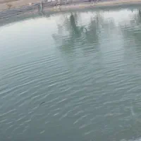استخر جهت پرورش آبزیان(ماهی وغیره)قیمت توافقی