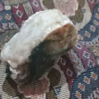 سنگ های قیمتی ودکری. به فروش می‌رسد|جواهرات|خلخال, |دیوار