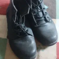 پوتین درحد نو فروشی قیمت ۱۵۰۰۰۰۰