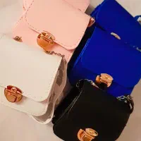 کیف|کیف، کفش، کمربند|رشت, لاکان|دیوار