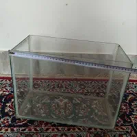 آکواریوم|ماهی|خمینی‌شهر, |دیوار