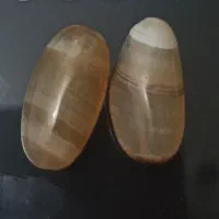 مهره زیبا