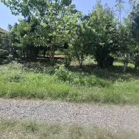 فروش زمین مسکونی 450متری /جاده کیاشهر /تونل جنگلی