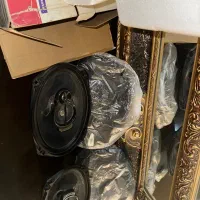 باند پایونیر