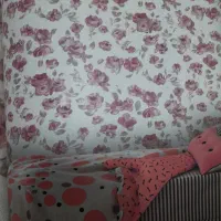 آلبوم استوک کاغذ دیواری برای پاکت پول