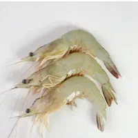 میگو پاک میکنم با رگ گیری