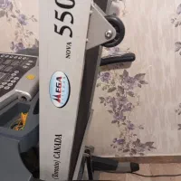 تردمیل|تجهیزات ورزشی|تهران, درختی|دیوار