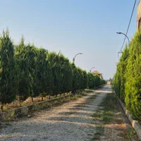 فروش زمین شهرکی