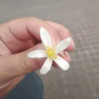 09111111829