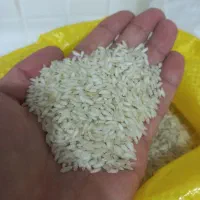 برنج عنبربو شوشتر|خوردنی و آشامیدنی|چمران, |دیوار