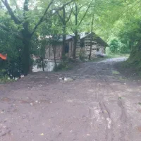 دامداری فوری فوری|فروش دفتر صنعتی، کشاورزی، تجاری|کلاچای, |دیوار