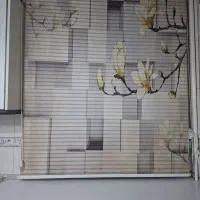 پرده زبرا دومکانیزم