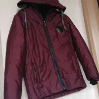 حراج پالتو هرعدد فقط 150