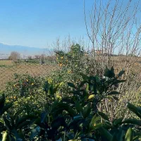 زمین دو نبش با چشم انداز ابدی|فروش زمین و ملک کلنگی|ارطه, |دیوار