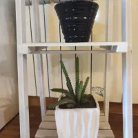 اسنتد چوبی همراه گلدن|گل مصنوعی|بندر انزلی, جزیره|دیوار