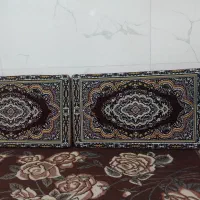 ۲ جفت پشتی