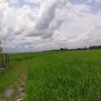 ۲۴۰۰ مترزمین ویلایی آرپادره سی
