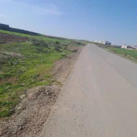 جویای کار