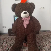 خرس بزرگ و سالم