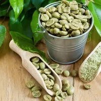 دان سبز قهوه ویتنام چری پی‌بی اندونزی اوگاندا