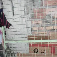 درب توری اهنی