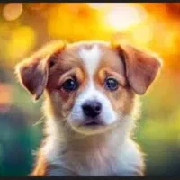 واگذاری سگ خانگی