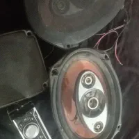 ضبط باند
