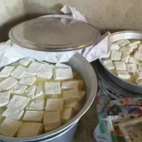 پنیر و چکیده گوسفندی درجه یک زیر قیمت بازار