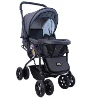 کالسکه دلیجان نو