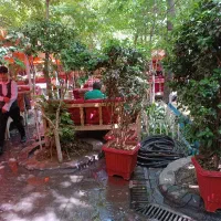 ویتر خانم و سالن کار