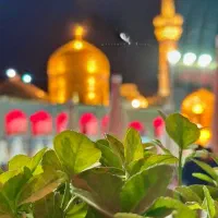 تور زیارتی مشهد مقدس