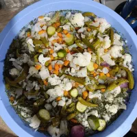 ترشیجات کدبانو