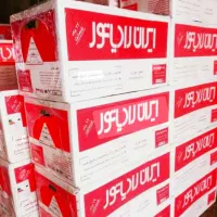 فروش پکیج ایران رادیاتور مدل L24000