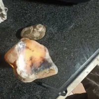 سنگ شجر وسنگ گبری