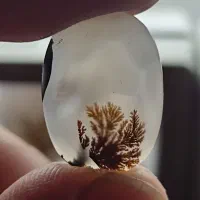 نگین شجر سنگ قائنات  دونه یک میلیون