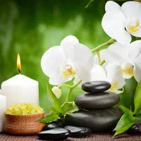 فروش روغن ماساژ