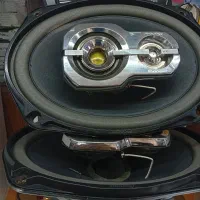 باند6975