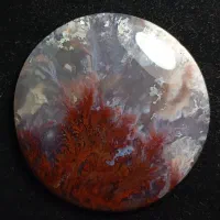 غول شجر گل اناری 7 سانتی