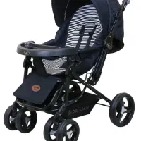 کالسکه برند دلیجان