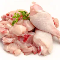 قطعه زن مرغ و بوقلمون