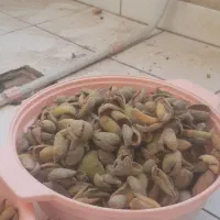 پوست بادام خوب