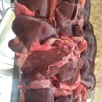 عمده فروشی جگر دنبه دنبالان  وتمام الایشات|عمدهفروشی|قرچک, قشلاق جیتو|دیوار