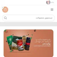 طراحی سایت حرفه ای با پشتیبانی  و آموزش|خدمات رایانه‌ای و موبایل|رشت, گلسار|دیوار