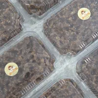 پیش سفارش چنگال یا چنگمال(چانگال)